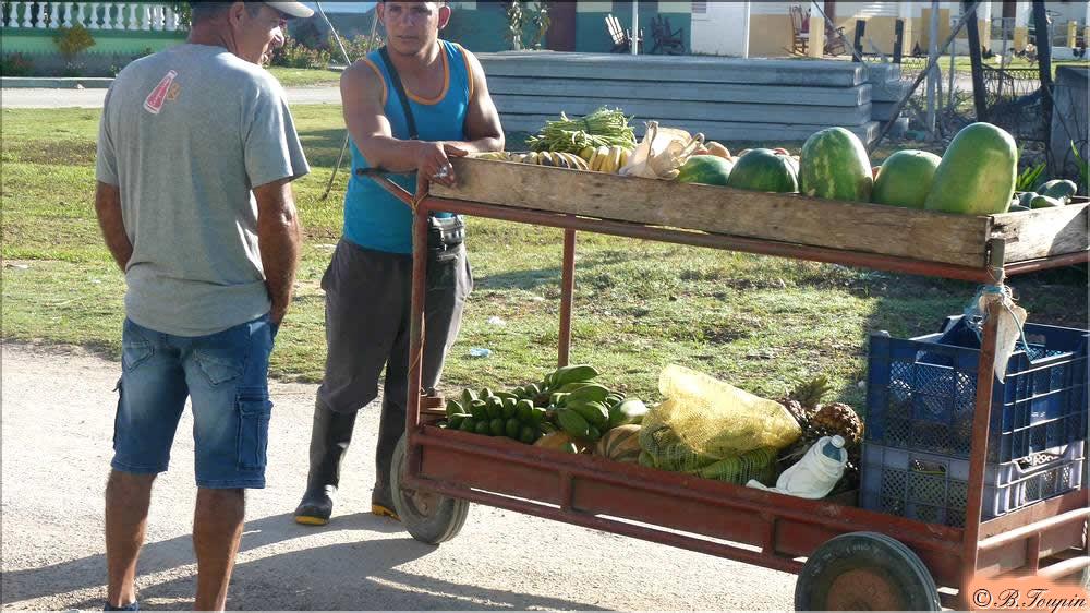 Marchand de fruits